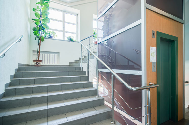 Bright modern stairwell with elevator and plants showcasing clean professional building maintenance.
